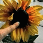 fake sunflower plant with hidden speaker