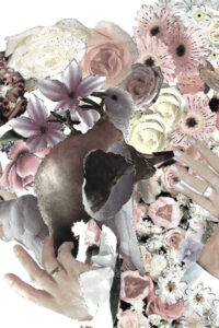 Photo collage of flowers, doves and hands